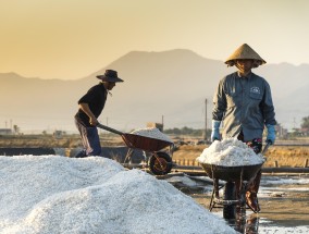 韩国悲惨事件种子的根源与反思 韩国悲惨事件种子