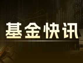 中证偏股价值基金：近月涨 0.62%，年跌 1.26%