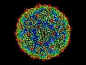 生物教具制作，探索生命科学的直观教学工具 生物教具制作