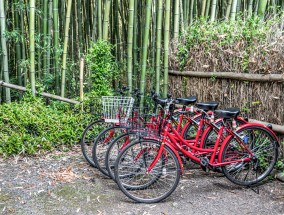 三亚旅游攻略，民宿体验与探索 三亚旅游攻略民宿