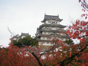 探索日本，一次令人难忘的旅游之旅 japan旅游