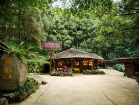 风雨稻香村，深度游玩攻略 风雨稻香村 攻略