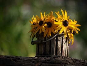 花搭，绽放的艺术与生活的交融 花搭