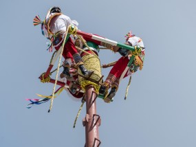 寻找七龙珠，一场奇幻冒险之旅 寻找七龙珠