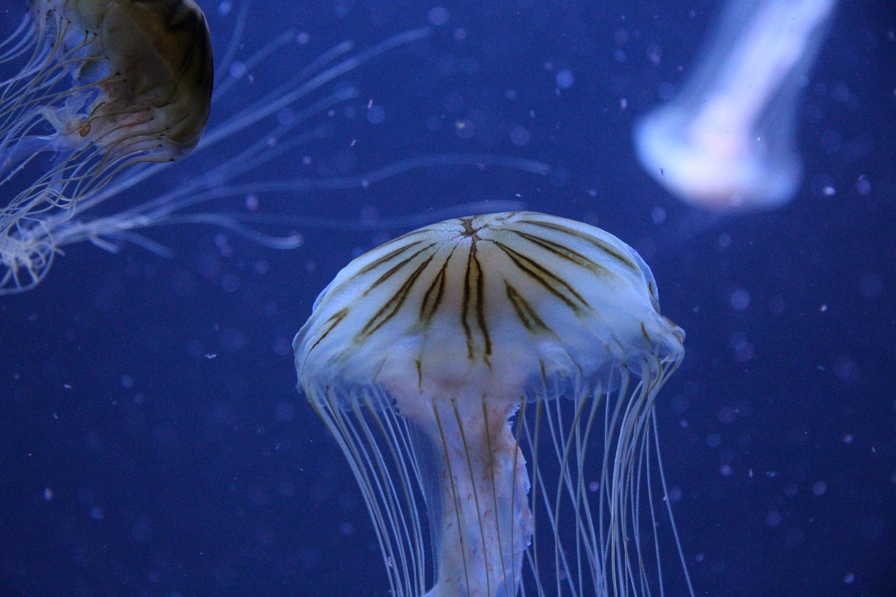 东世生物科技，引领未来生物科技新篇章 东世生物科技