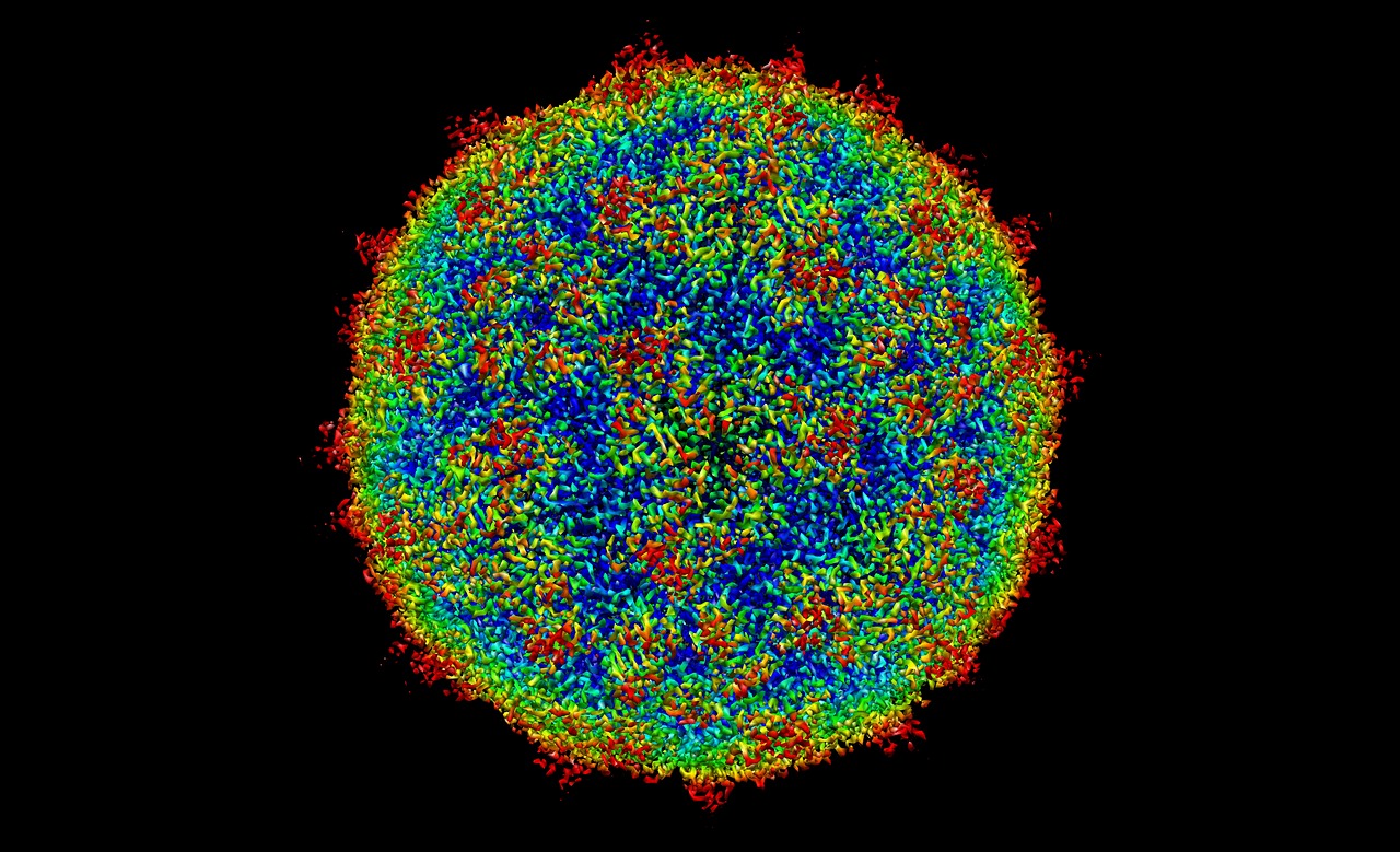 生物教具制作，探索生命科学的直观教学工具 生物教具制作