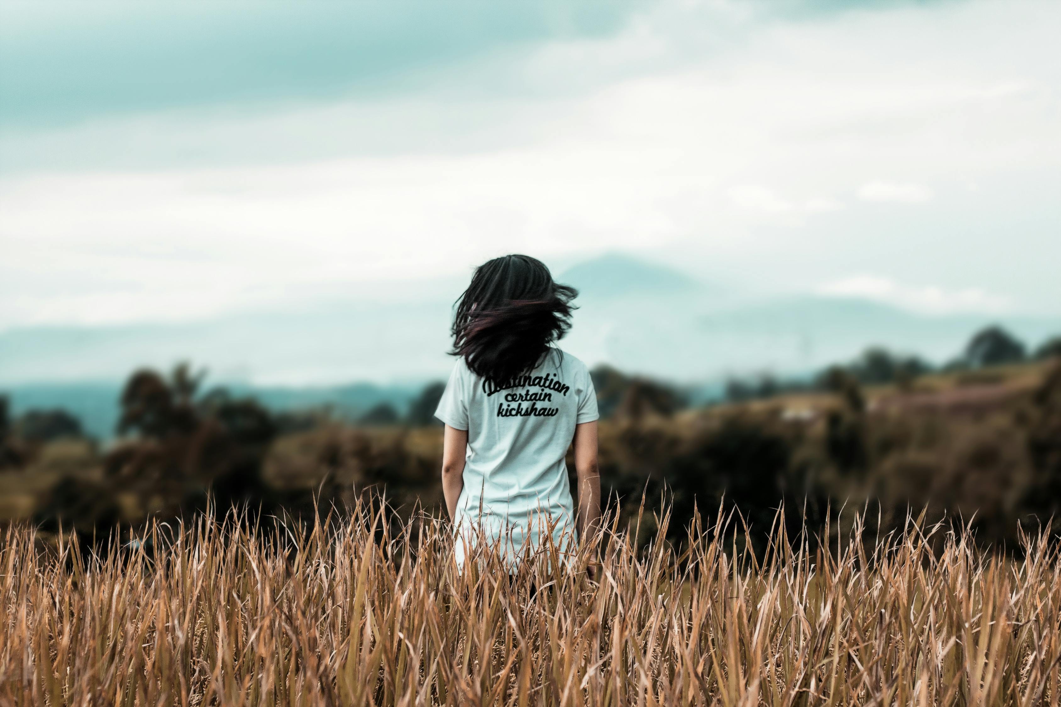 女世子的结局，命运与自我抉择的交织 女世子结局