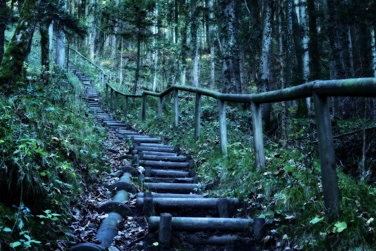 洛克王国探险之旅，探寻清风山的神秘路径 洛克王国清风山怎么去