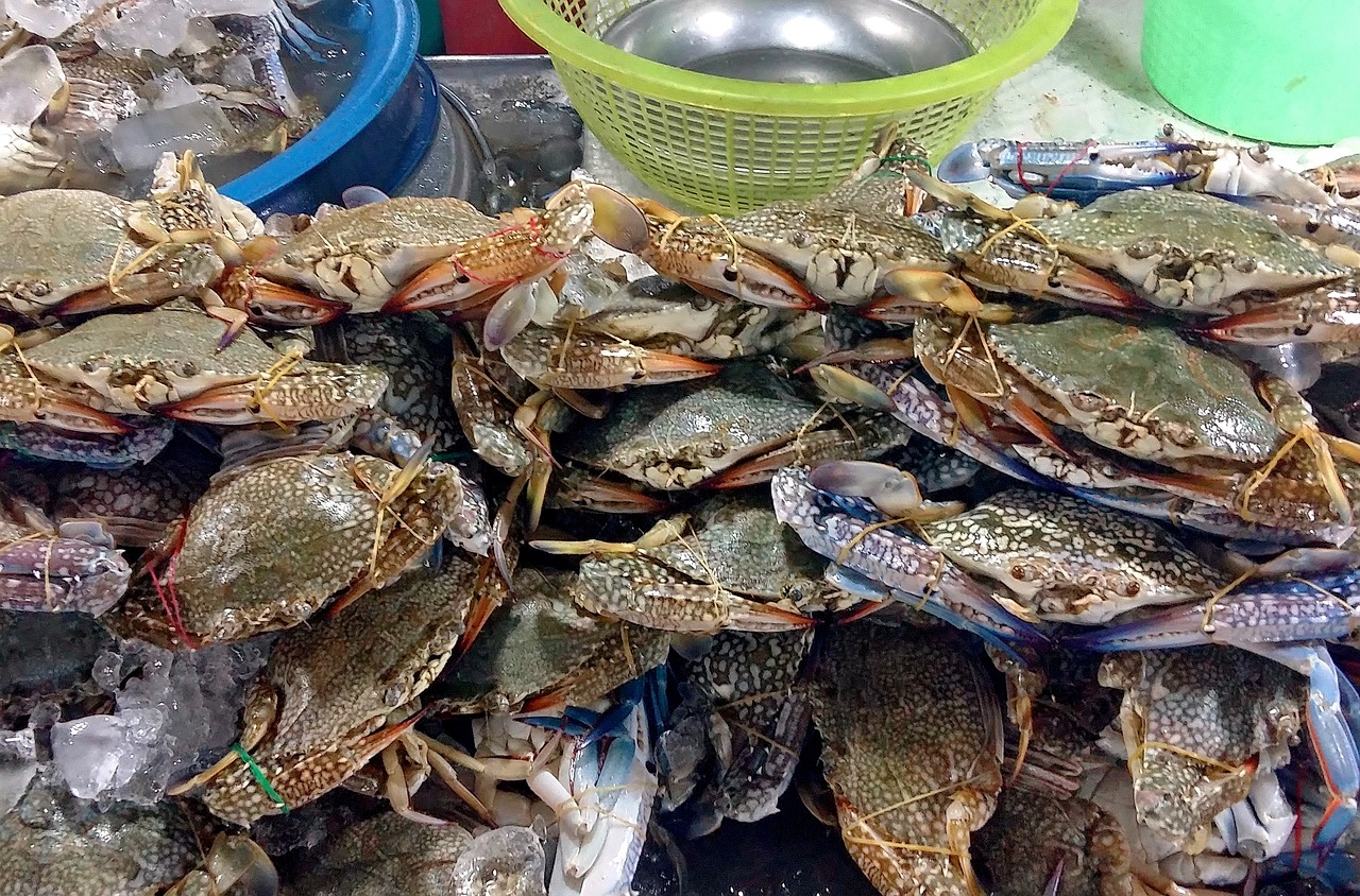 早餐摊舀积水蒸包子，城市早晨的独特风景与美食记忆 早餐摊舀积水蒸包子