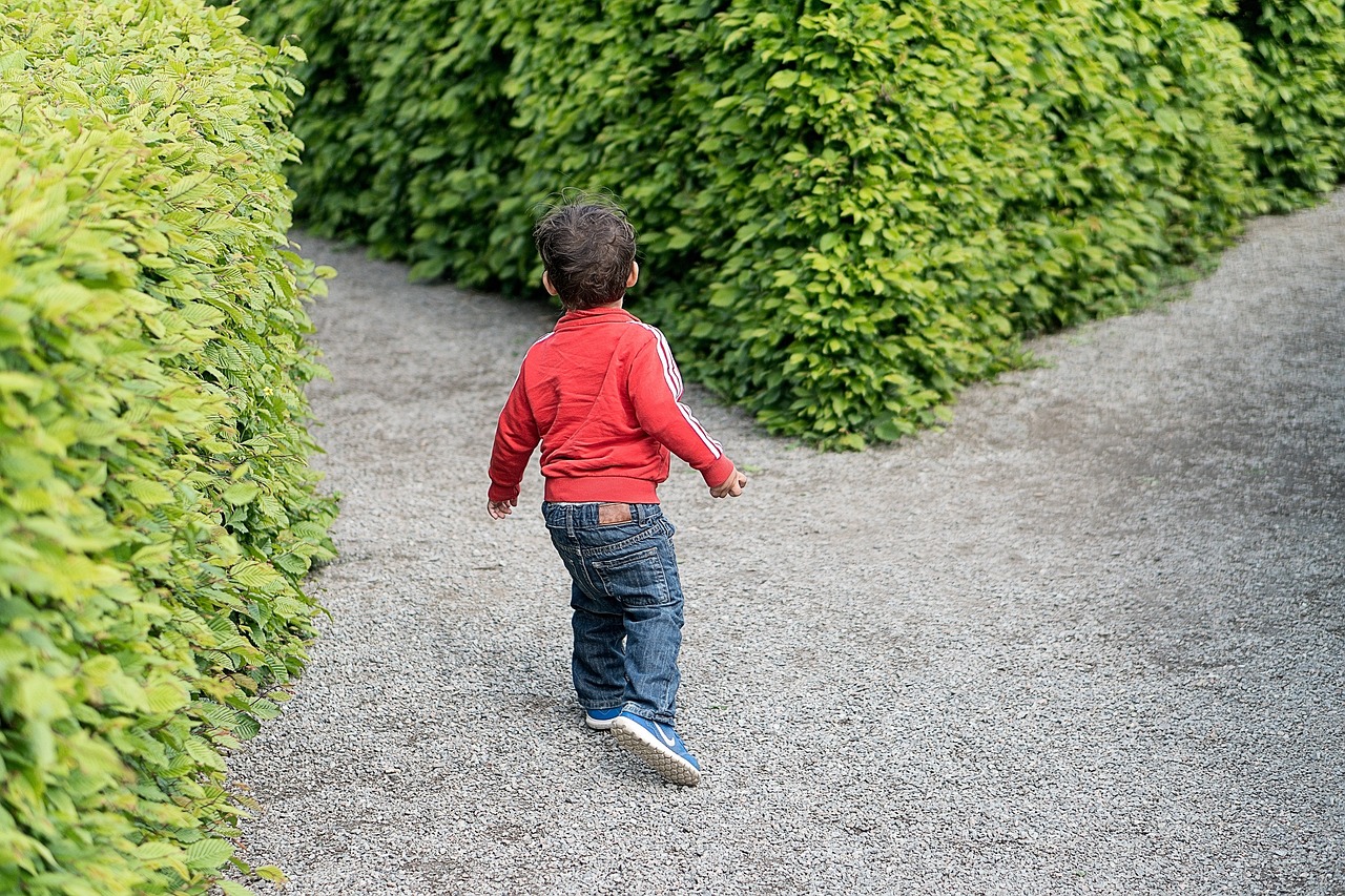 艺考生复读，挑战与机遇并存 艺考生复读