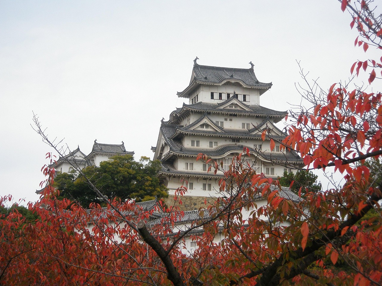 探索日本，一次令人难忘的旅游之旅 japan旅游