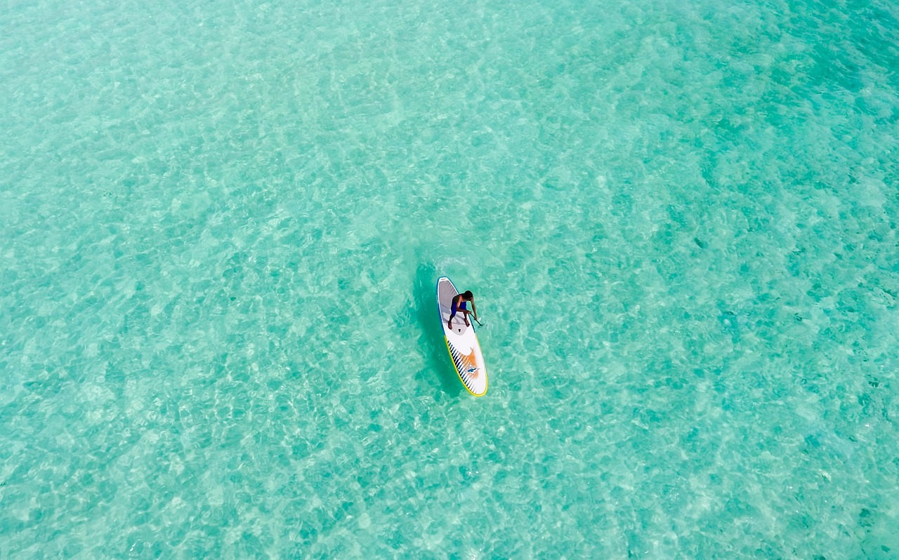 保卫萝卜深海第九冒险篇章，挑战与荣耀的海洋征途 保卫萝卜深海9